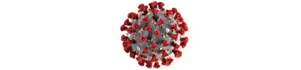 The SARS-CoV-2 virus