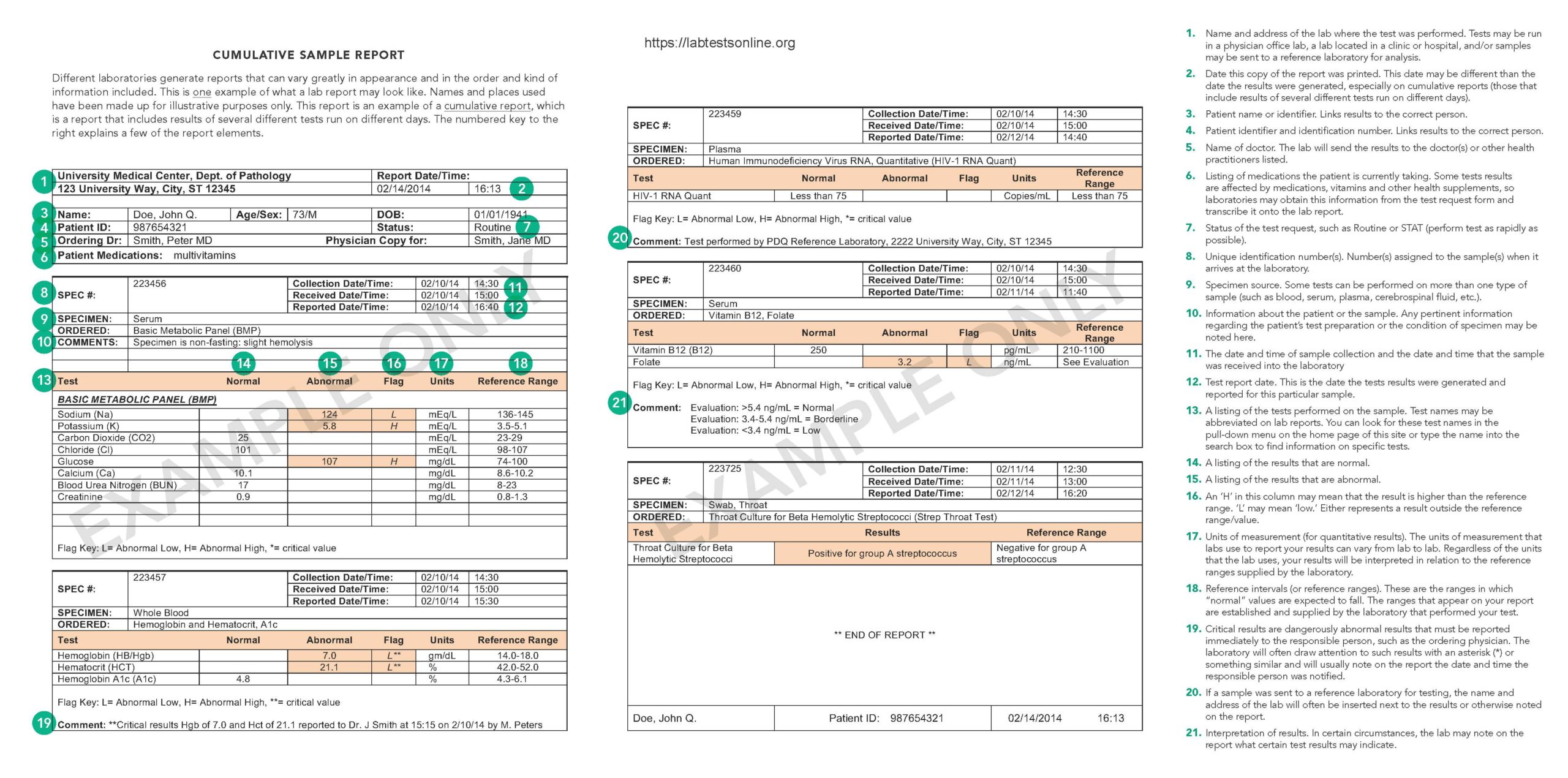 Image of Sample Lab Report