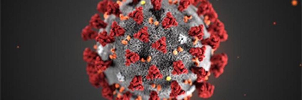 Image credit: CDC, Alissa Eckert, MS; Dan Higgins, MAM